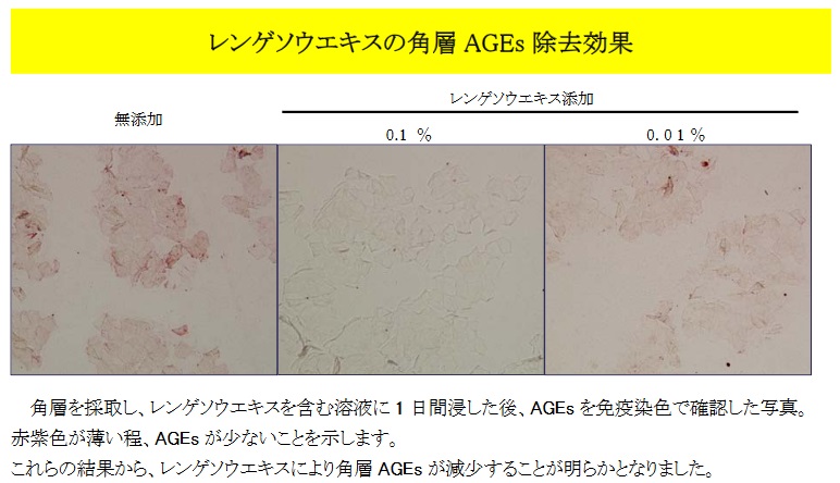 EGクリアエキスの効果実験2