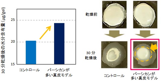 ゴールデンLPで水分保持力が向上