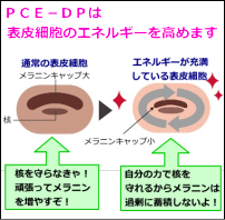 PCE－DP（ピースディーピー）の説明