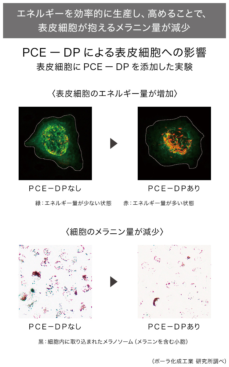 PCE-DPの説明